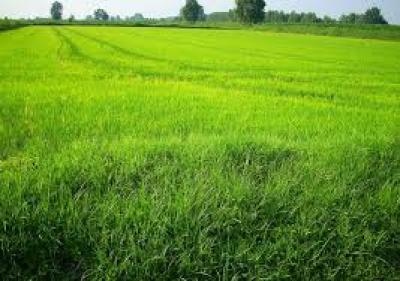 terreno agricolo in vendita a Cornate d'Adda