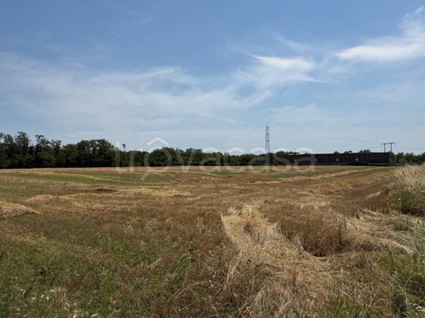 terreno agricolo in vendita a Cornate d'Adda