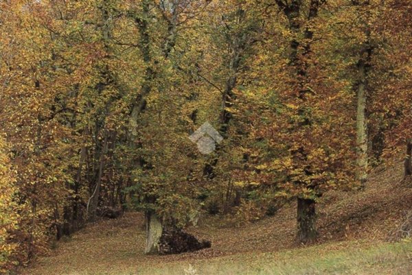 terreno agricolo in vendita a Lentate sul Seveso