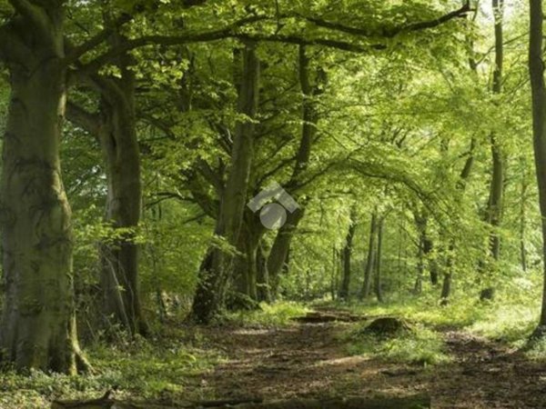 terreno agricolo in vendita a Lentate sul Seveso