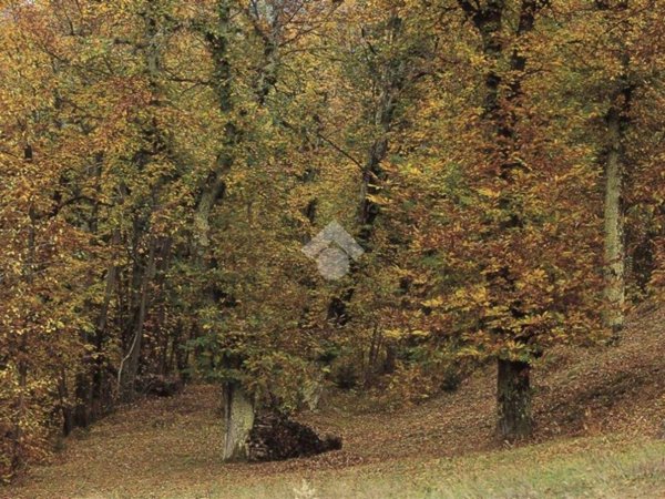 terreno agricolo in vendita a Lentate sul Seveso