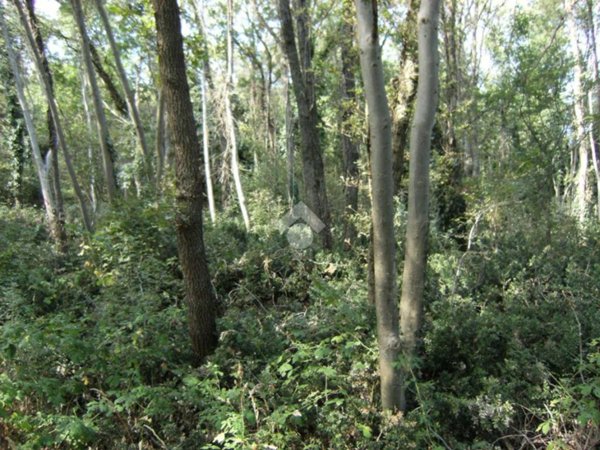 terreno agricolo in vendita a Lentate sul Seveso