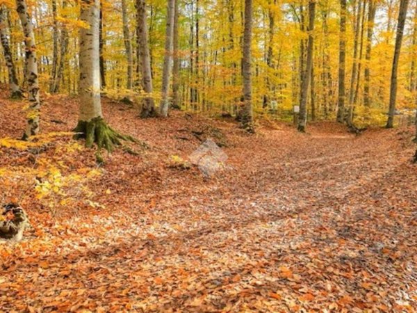 terreno agricolo in vendita a Lentate sul Seveso in zona Mocchirolo