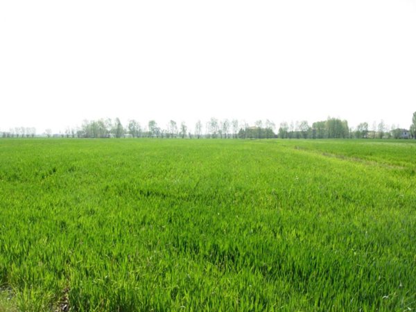 terreno edificabile in vendita a Lentate sul Seveso in zona Copreno