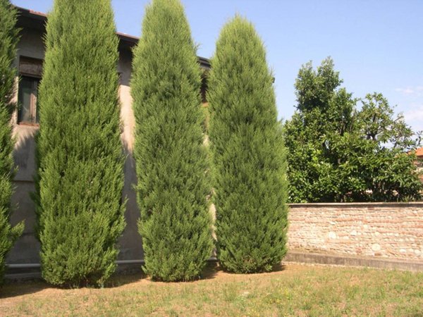 intera palazzina in vendita a Lentate sul Seveso