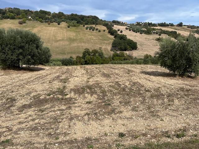 terreno agricolo in vendita ad Altidona
