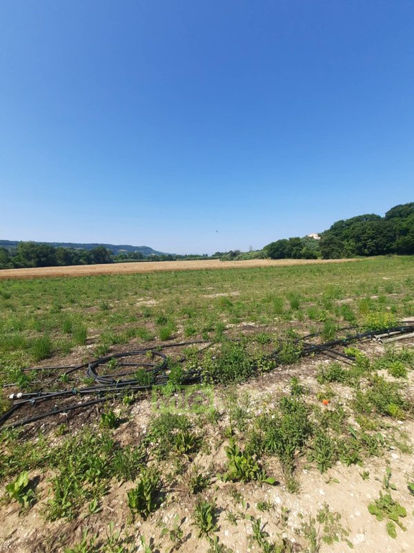 terreno agricolo in vendita ad Altidona in zona Marina di Altidona
