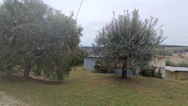 terreno agricolo in vendita ad Altidona