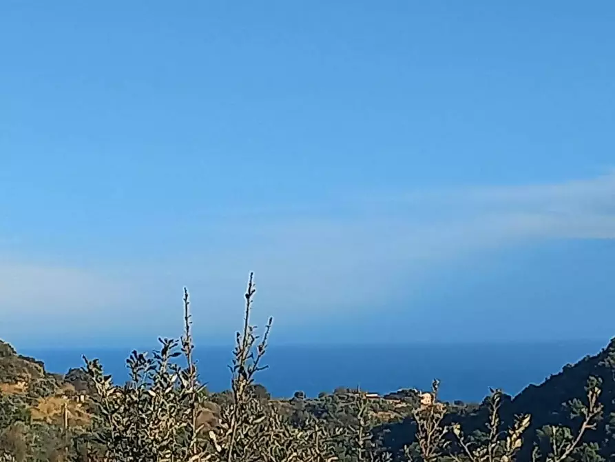 immagine annuncio 0 di 1