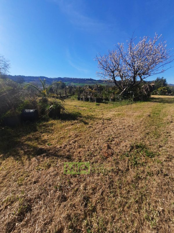 locale di sgombero in vendita ad Altidona in zona Marina di Altidona