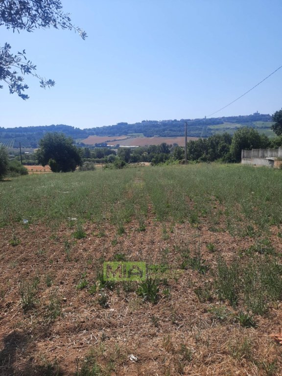 terreno agricolo in vendita ad Altidona in zona Marina di Altidona
