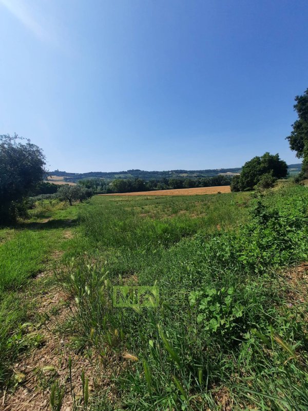 terreno agricolo in vendita ad Altidona in zona Marina di Altidona
