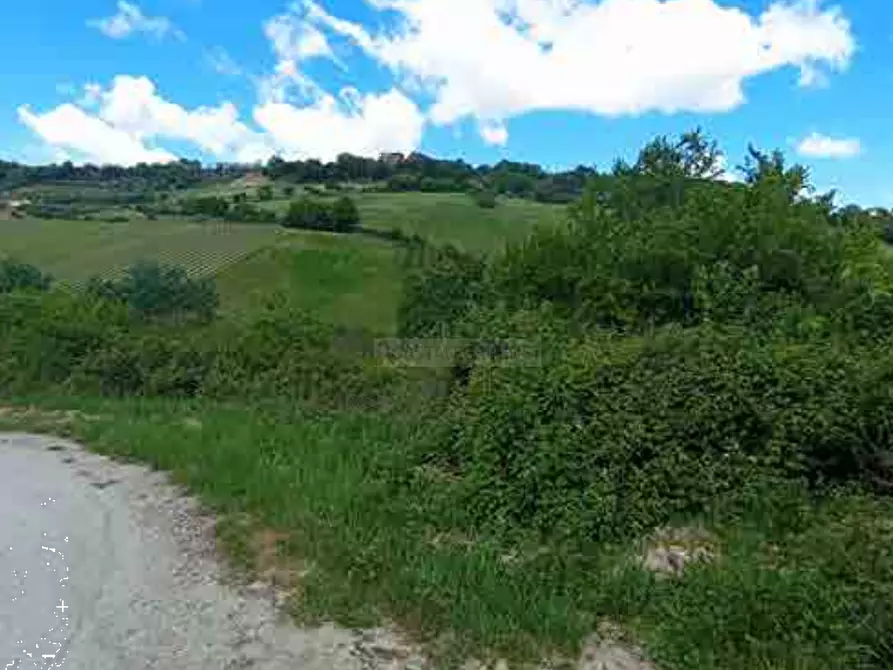 terreno agricolo in vendita ad Altidona