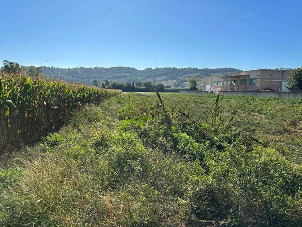 terreno agricolo in vendita ad Altidona