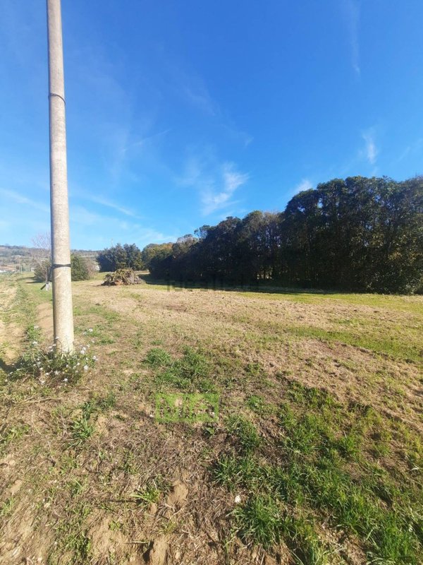 locale di sgombero in vendita ad Altidona in zona Marina di Altidona