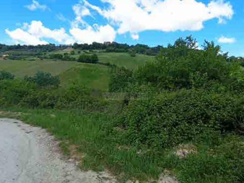 terreno agricolo in vendita ad Altidona