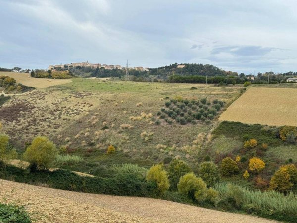 terreno agricolo in vendita ad Altidona in zona Marina di Altidona