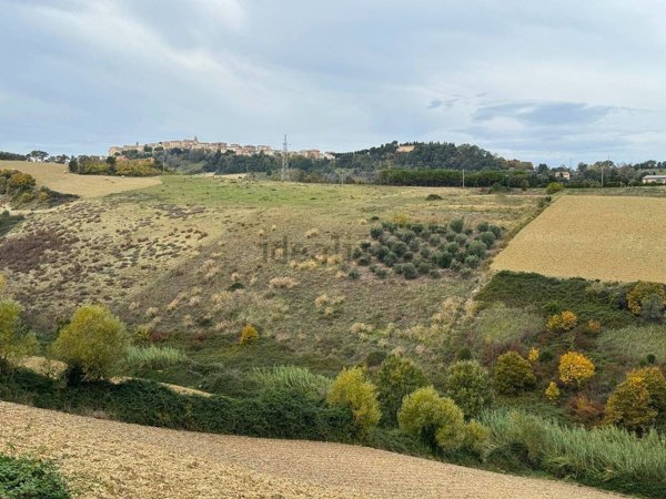 terreno agricolo in vendita ad Altidona