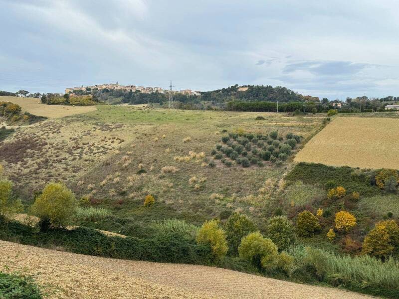 terreno agricolo in vendita ad Altidona