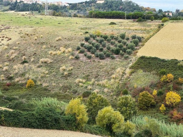 terreno agricolo in vendita ad Altidona