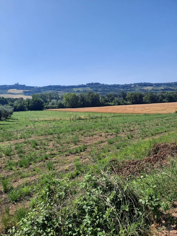 terreno agricolo in vendita ad Altidona in zona Marina di Altidona