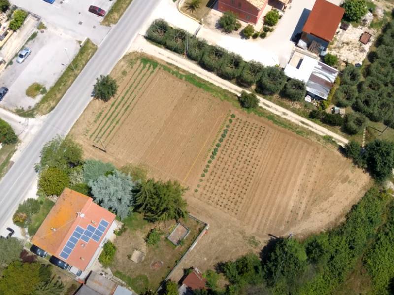 villa in vendita ad Altidona in zona Marina di Altidona
