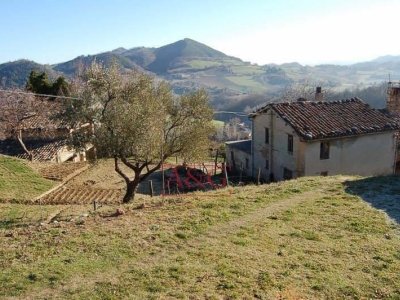 esavano in vendita ad Amandola