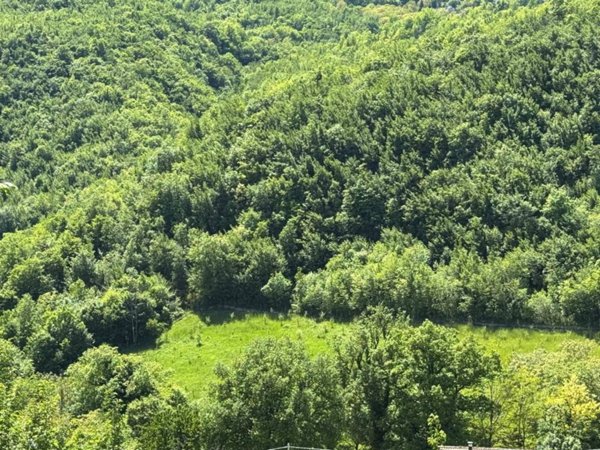 terreno agricolo in vendita ad Amandola