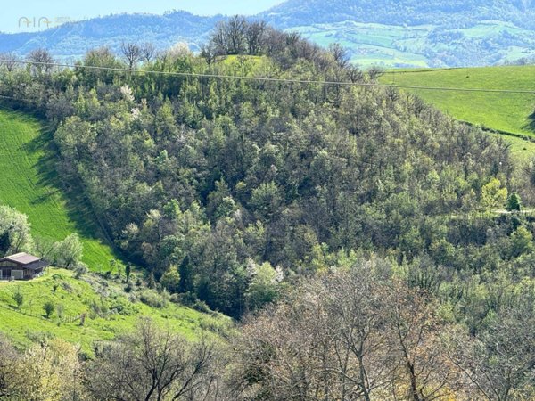 immagine annuncio 0 di 10