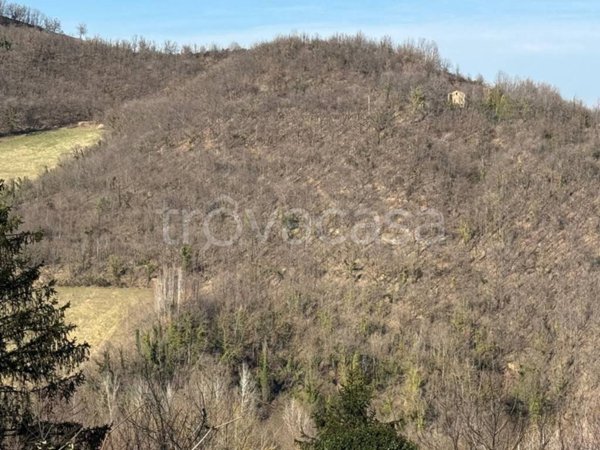 terreno agricolo in vendita ad Amandola in zona Casa Tasso