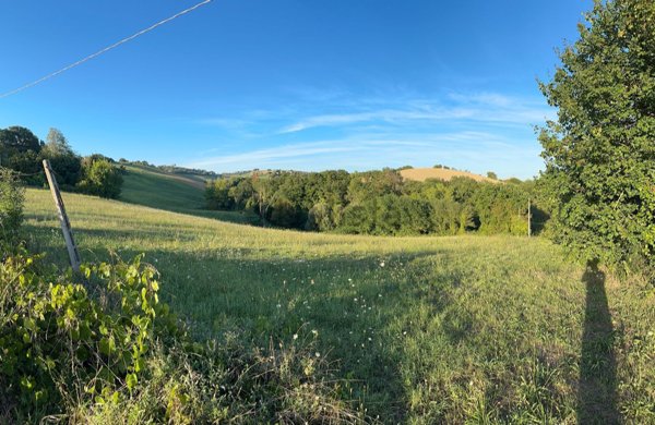 terreno agricolo in vendita a Belmonte Piceno