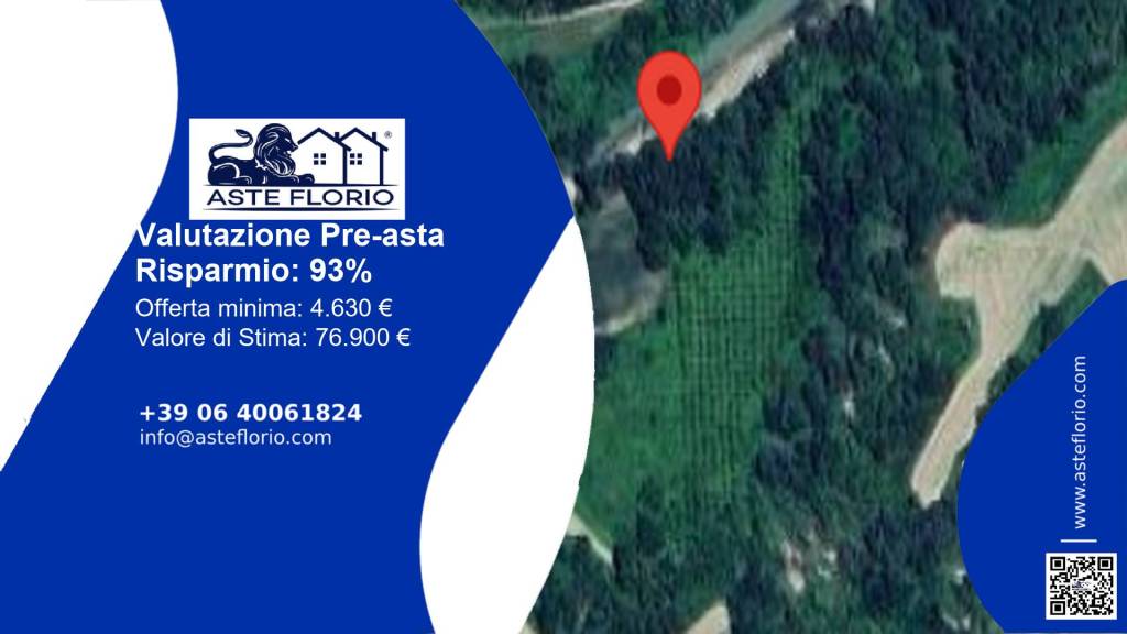 terreno agricolo in vendita a Belmonte Piceno