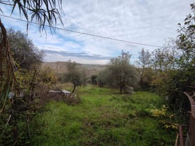 terreno agricolo in vendita a Campofilone