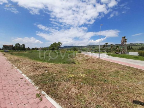 terreno agricolo in vendita a Campofilone
