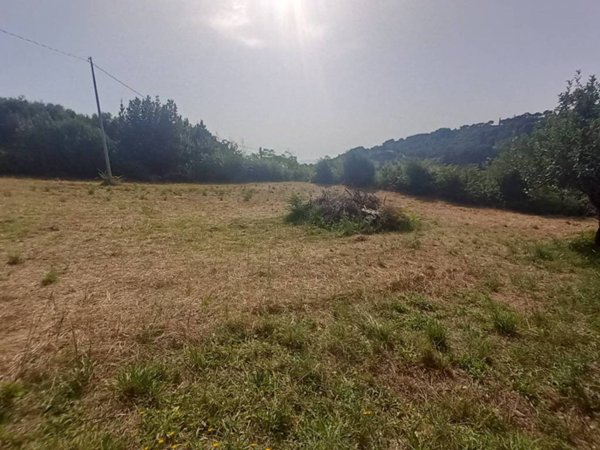 terreno agricolo in vendita a Campofilone