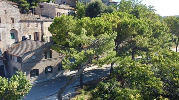 casa indipendente in vendita a Campofilone