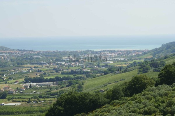 pentavano in vendita a Campofilone