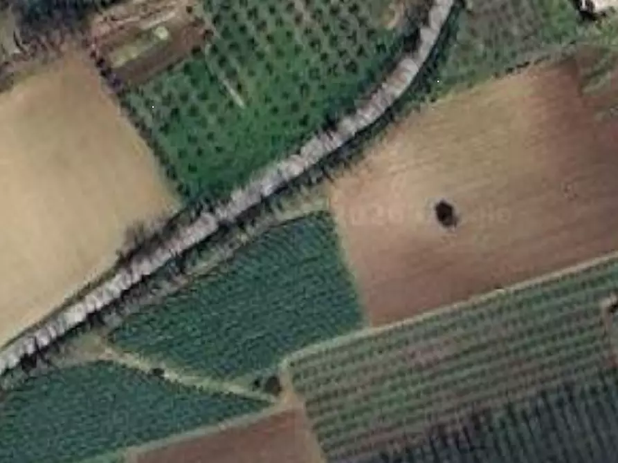 terreno agricolo in vendita a Campofilone