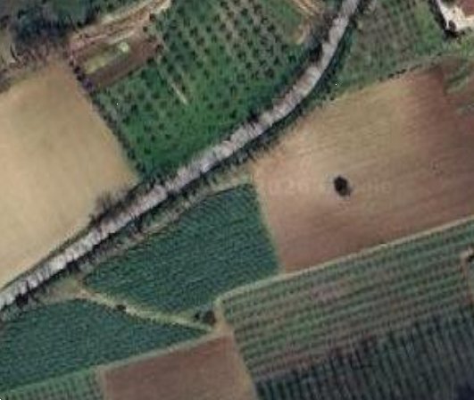 terreno agricolo in vendita a Campofilone