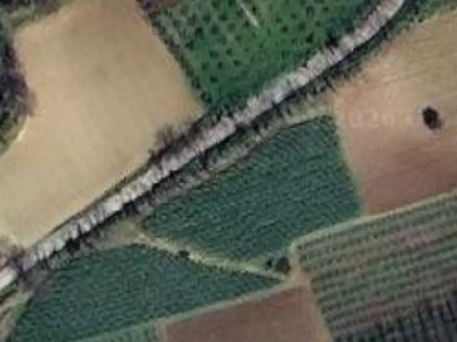 terreno agricolo in vendita a Campofilone