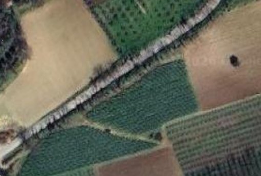 terreno agricolo in vendita a Campofilone