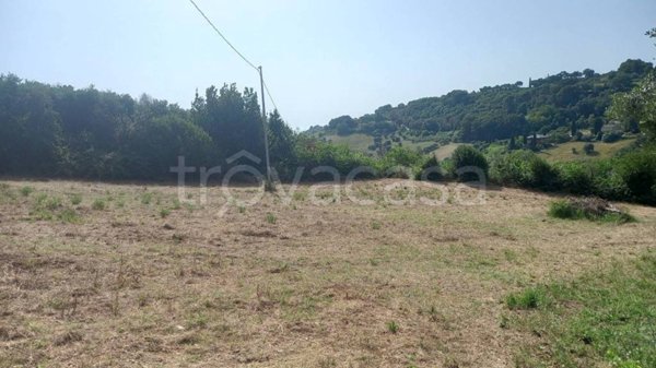 terreno edificabile in vendita a Campofilone