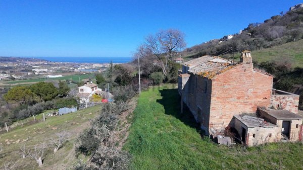 esavano in vendita a Campofilone