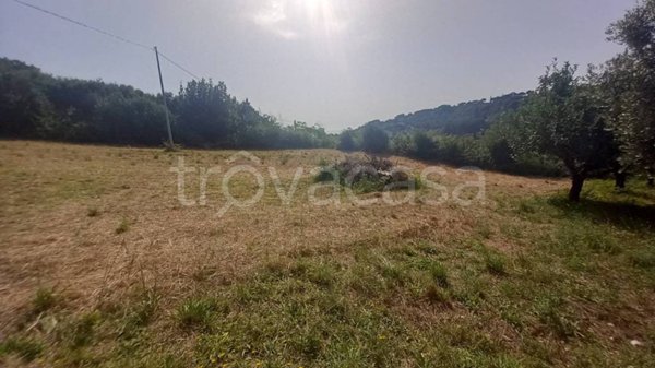 terreno agricolo in vendita a Campofilone