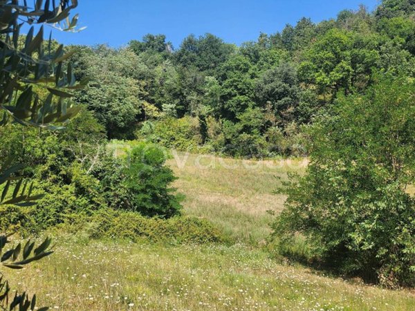 terreno agricolo in vendita a Falerone