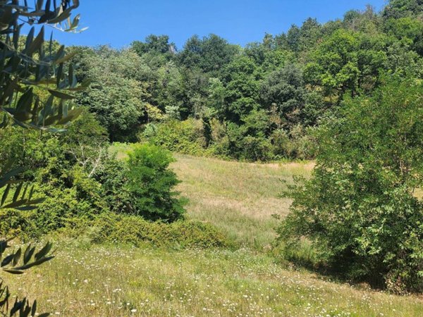 terreno agricolo in vendita a Falerone