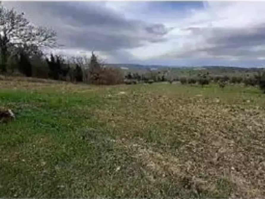 terreno agricolo in vendita a Falerone