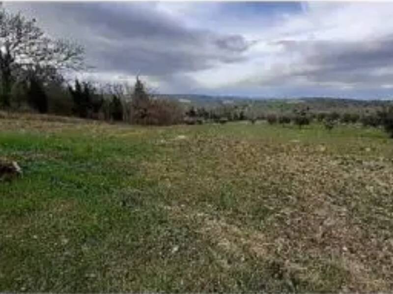 terreno agricolo in vendita a Falerone