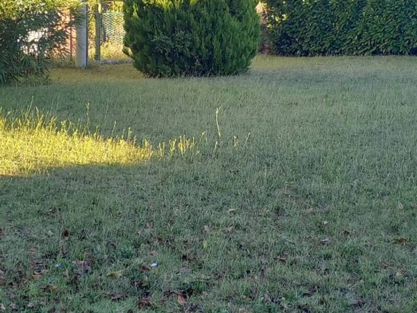 casa indipendente in vendita a Falerone