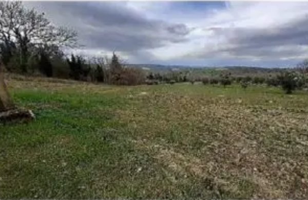 terreno agricolo in vendita a Falerone